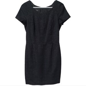 Julio Black pencil dress